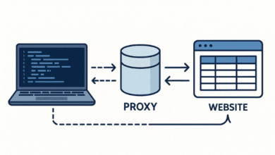 Why You Should Use Proxy for Web Scraping